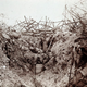 Illustration for article titled These Unseen Photos From World War I Are Unbelievable